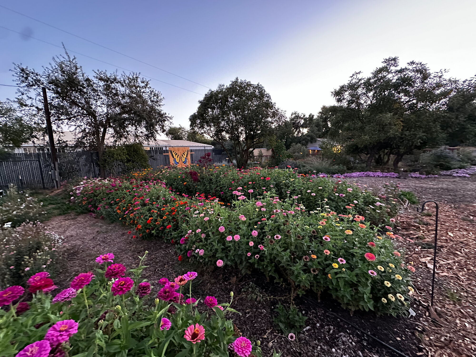 A view of the U-Pick flower field with a butterfly mural at Artist's Garden Oasis