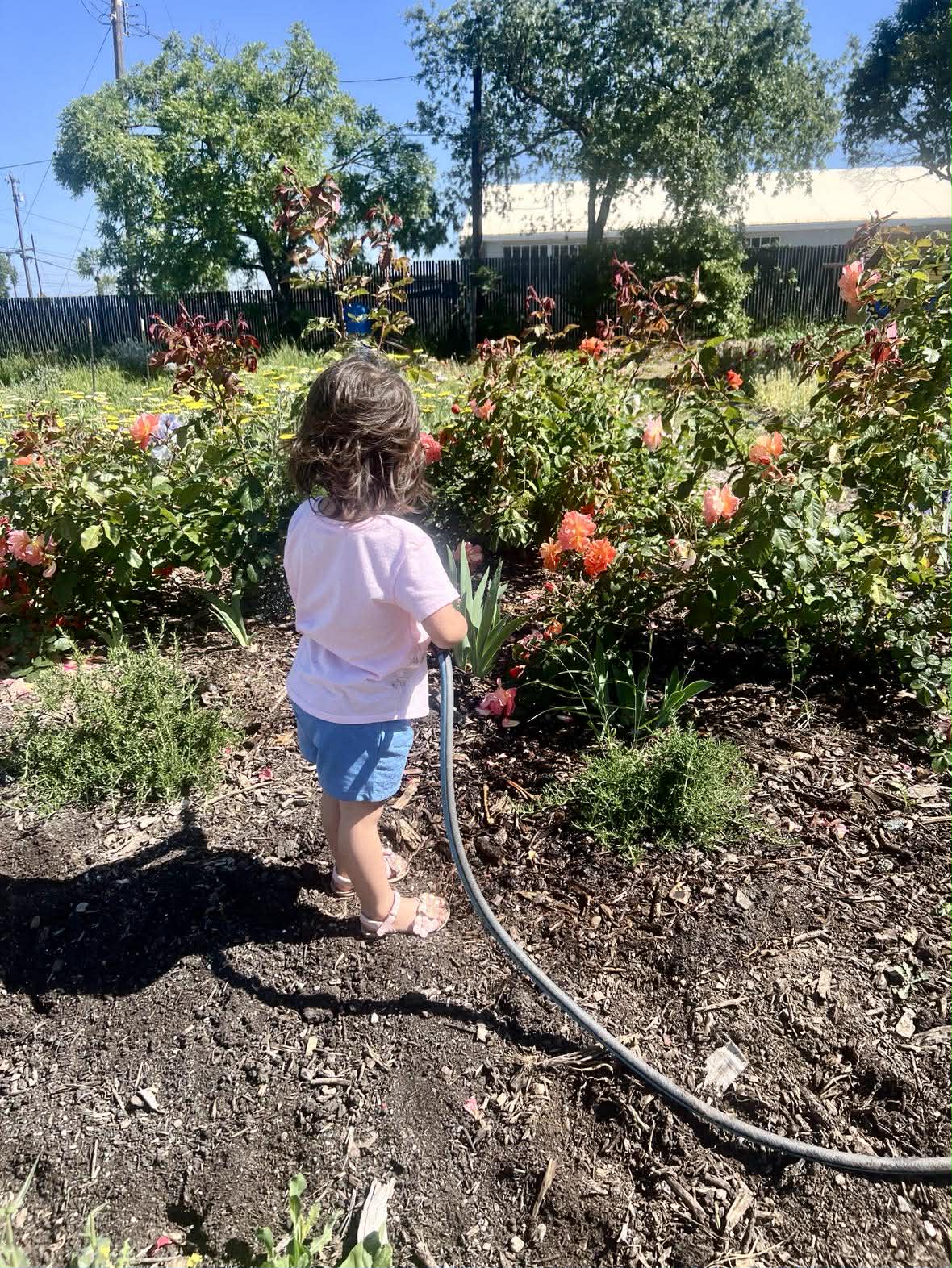 Our youngest volunteer