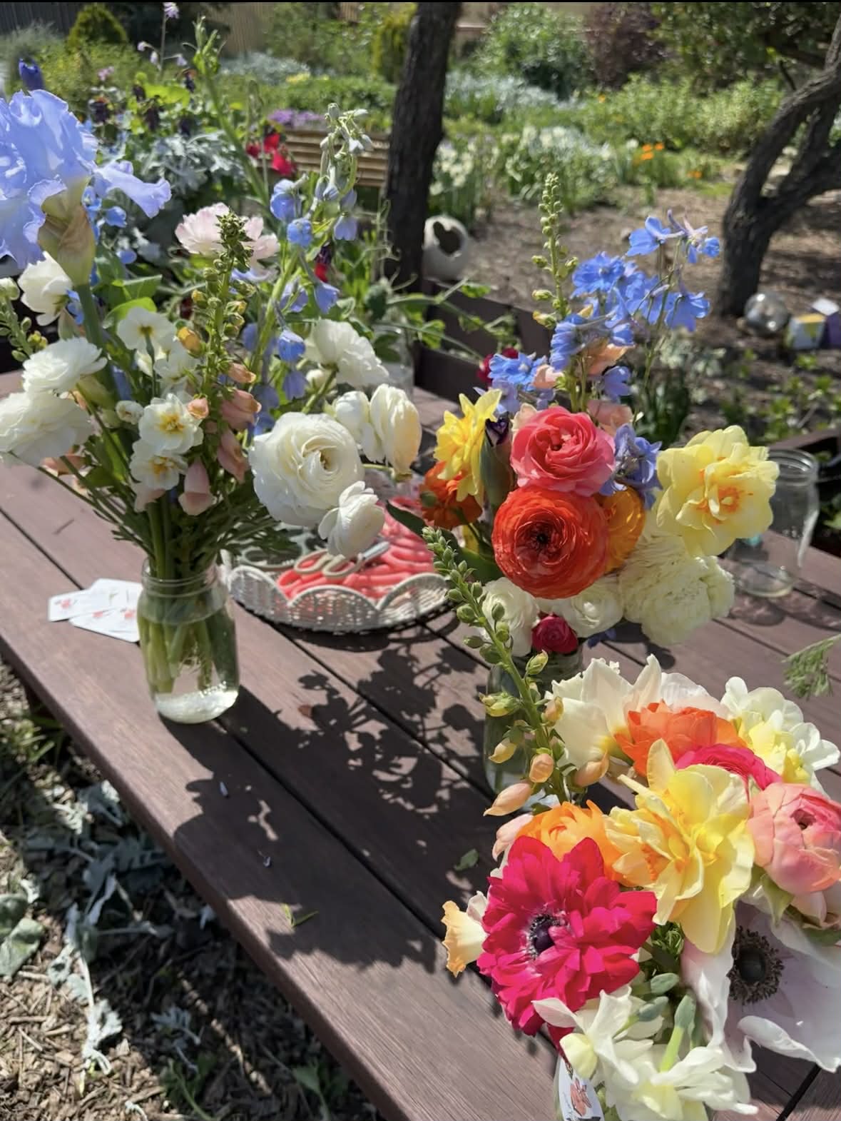 A vibrant view of pink ranunculus u-pick at Artist's Garden Oasis